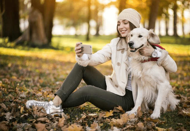 Dog Walking Apps